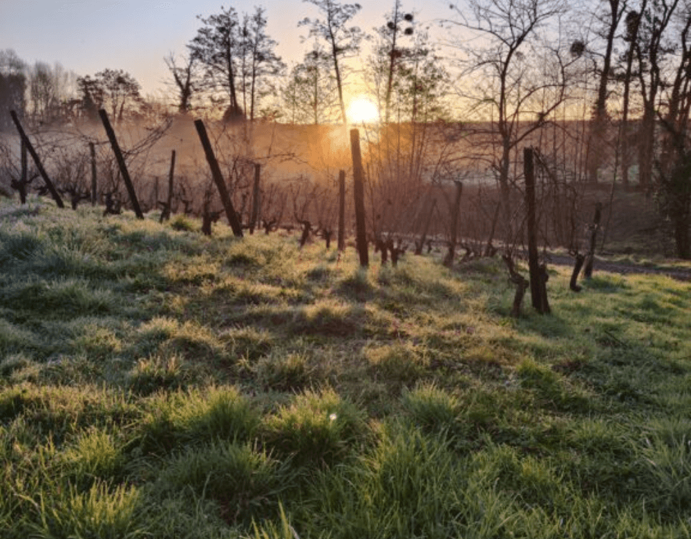 Domaine de la Bergeerie